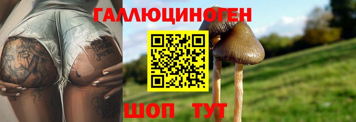 Галлюциногенные грибы ЛСД Красноперекопск
