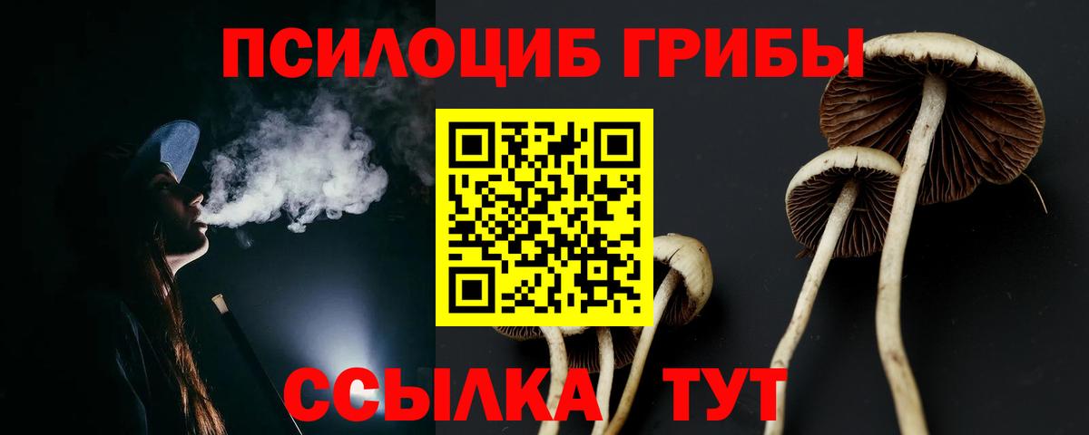 Псилоцибиновые грибы Psilocybe  Вход с VPN  Красноперекопск 